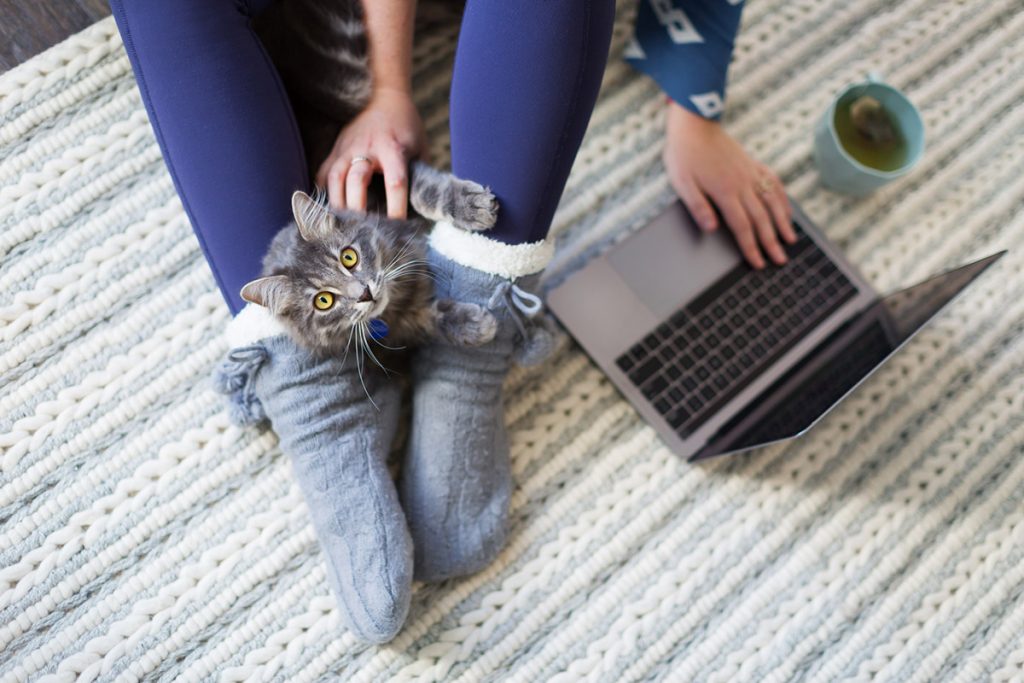 Working from home? A guide to creating a stress free environment